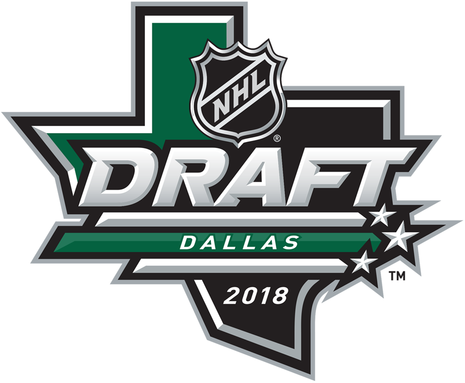 NHL Draft 2018 Primary Logo iron on transfers for clothing